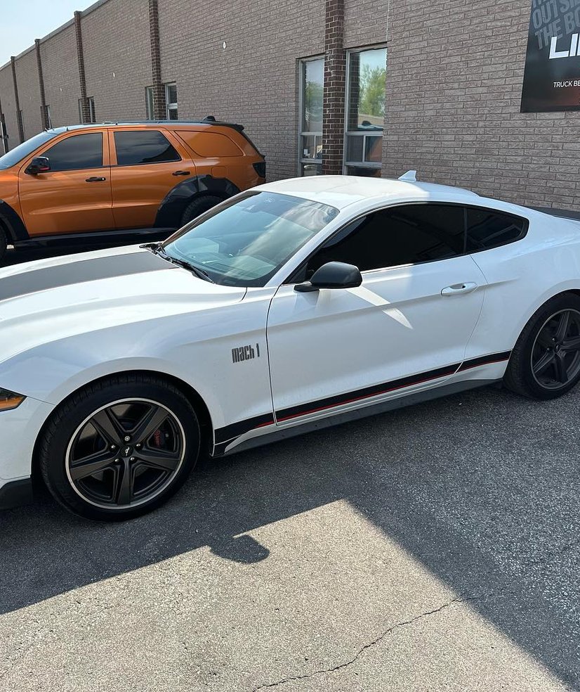 mach 1 mustang window tinting