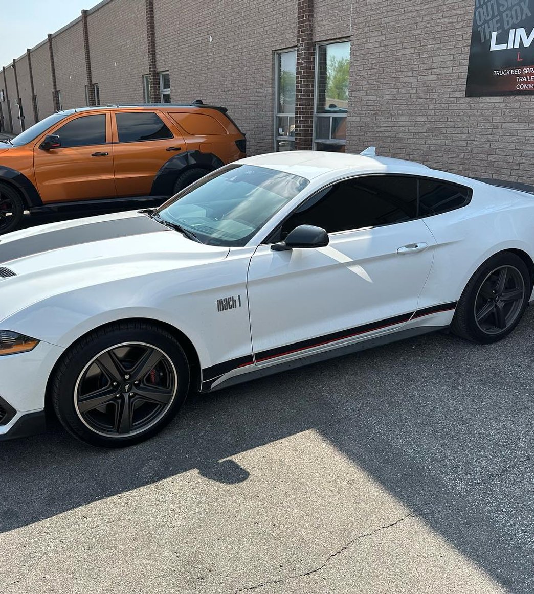 mach 1 mustang tinted